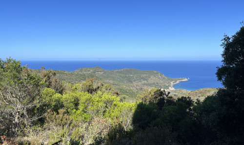 Abifahrt Giglio Wandern2