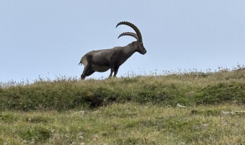 Alpenüberquerung 4