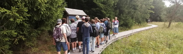 Moor und Mehr