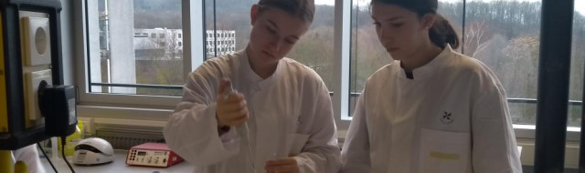 Biologisches Experiment