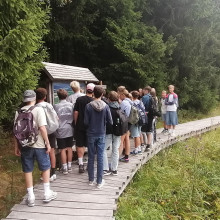 Moor und Mehr